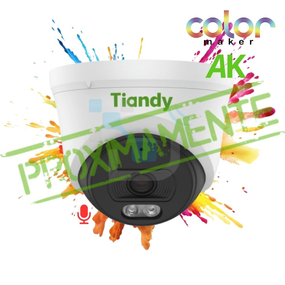 Cámara IP (4MP) / TC-C34XN